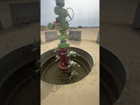 Christmas tree with clear details oil production #engineering #oil #construction