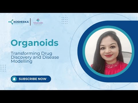 Organoids: Transforming Drug Discovery and Disease Modelling